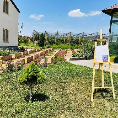 Green Training Center Dzoraghpʼyur 외부 사진