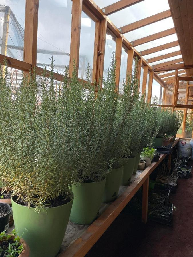 Green Training Center Dzoraghpʼyur 외부 사진